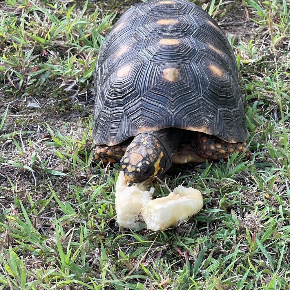 Meet your Posher, Mitch